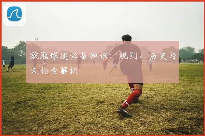 欧冠球迷必备知识：规则、历史与文化全解析