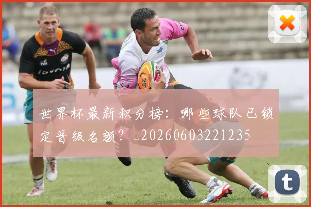 世界杯最新积分榜:哪些球队已锁定晋级名额?_20260603221235